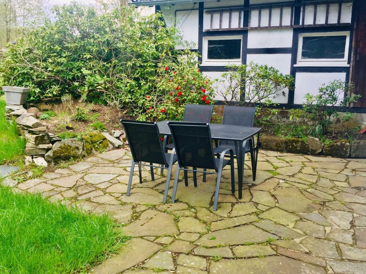 Ferienhaus Am Menzerather Weiher Apartment